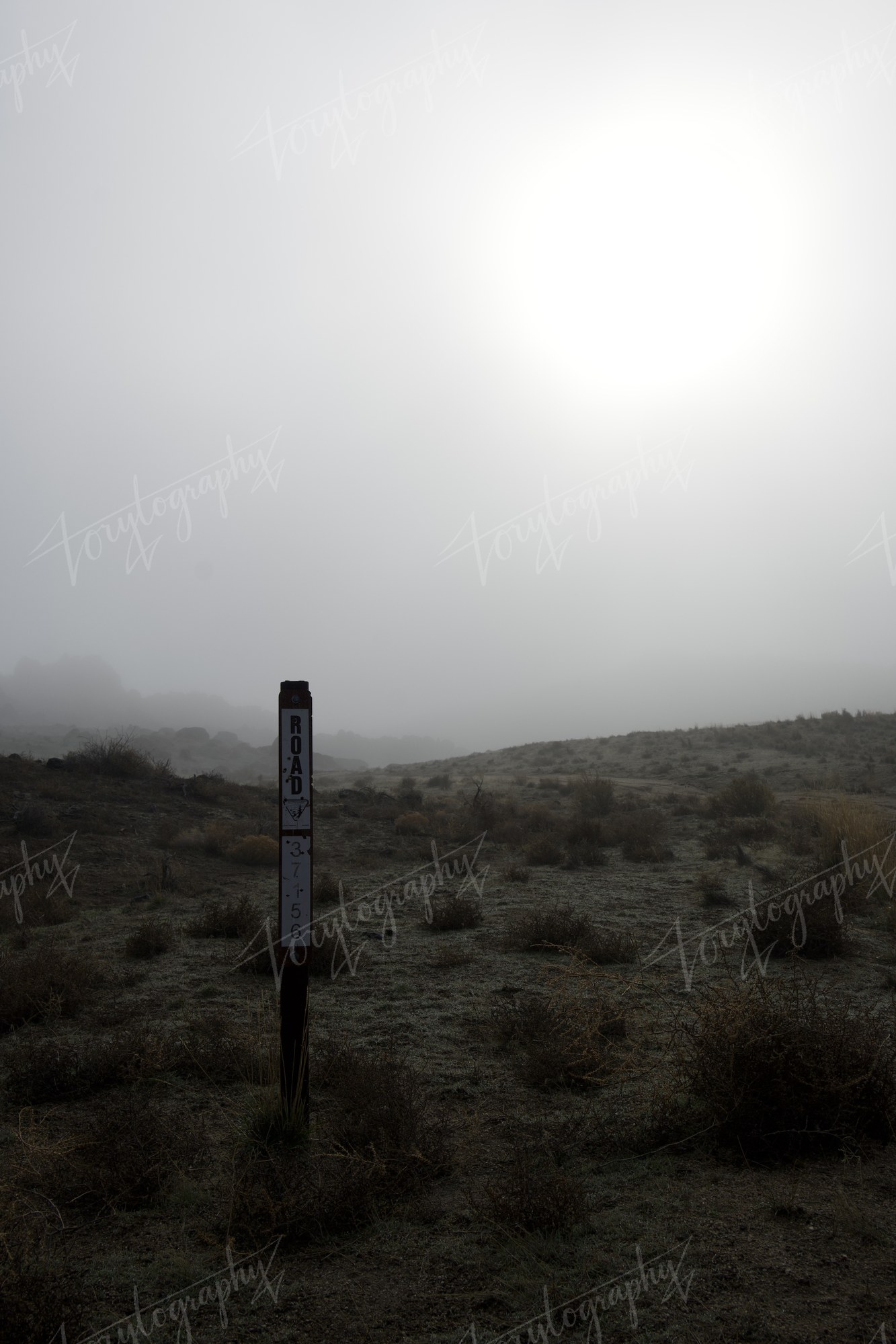 Trail Marker in the Fog · Nature
