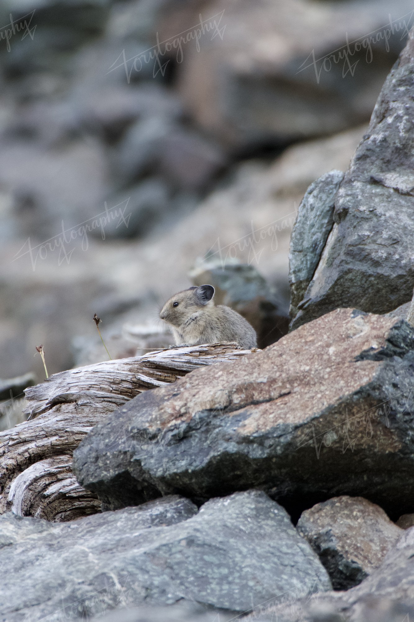 DSC_3523 · Nature