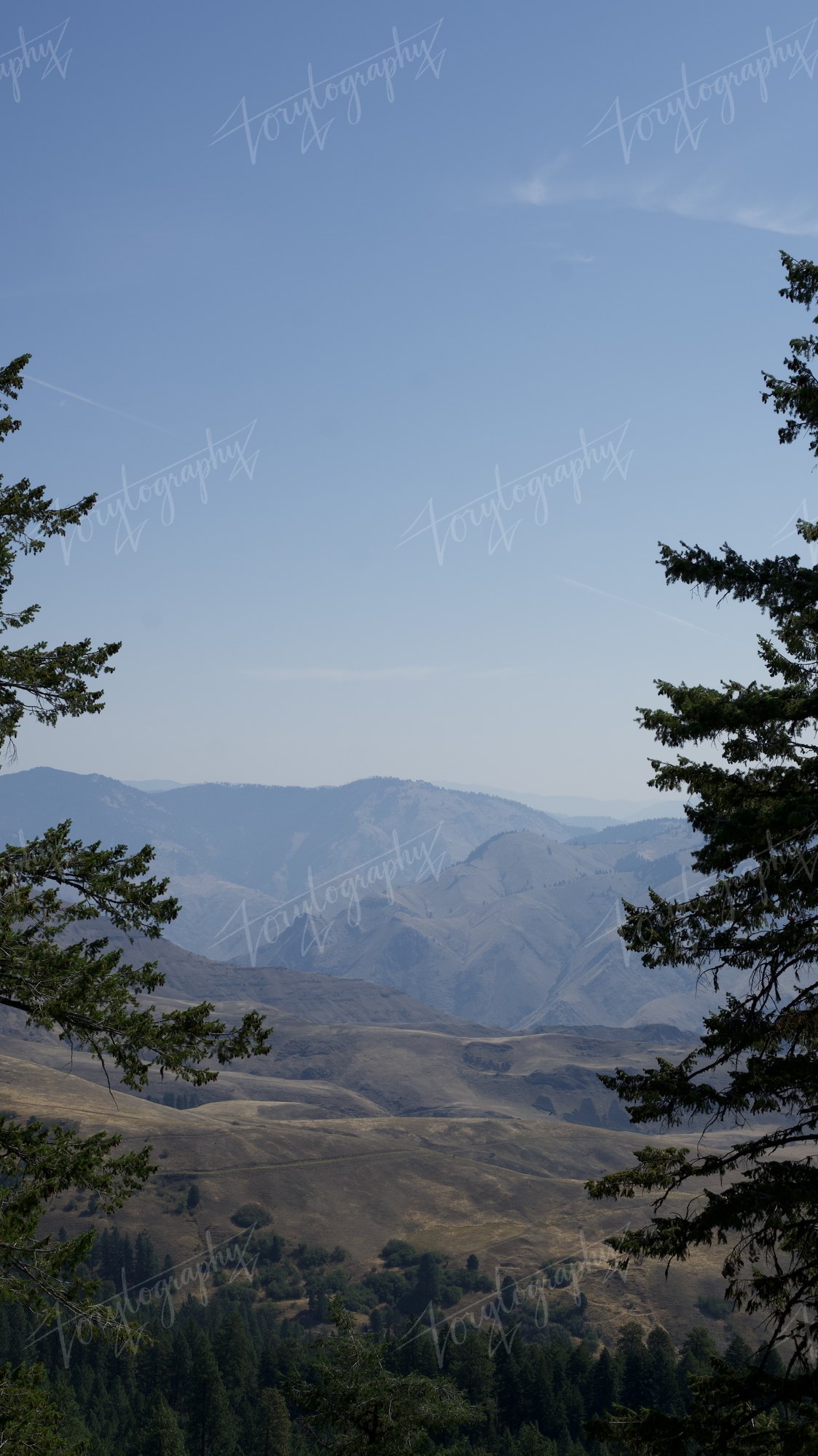 DSC_3810 · Nature