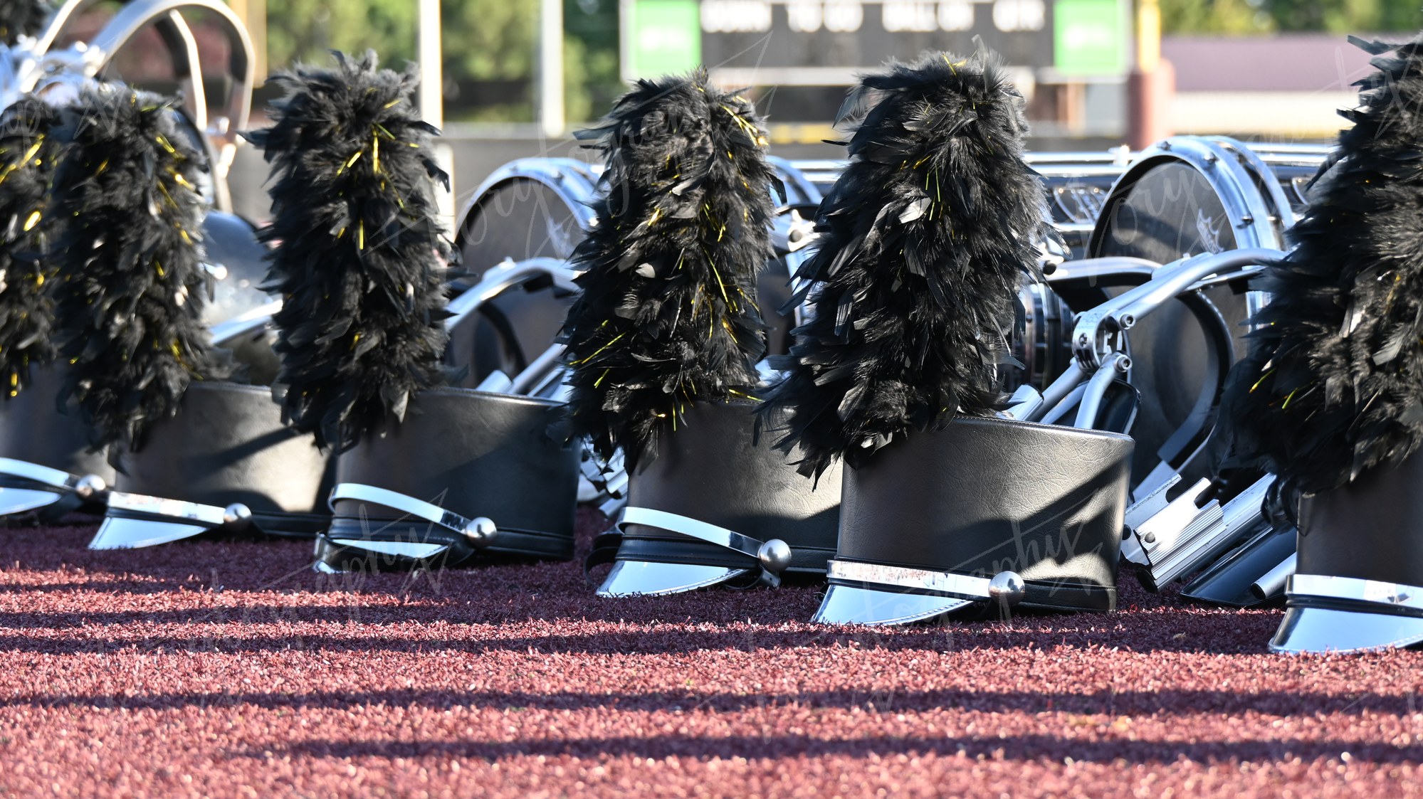 Field Formation · Event