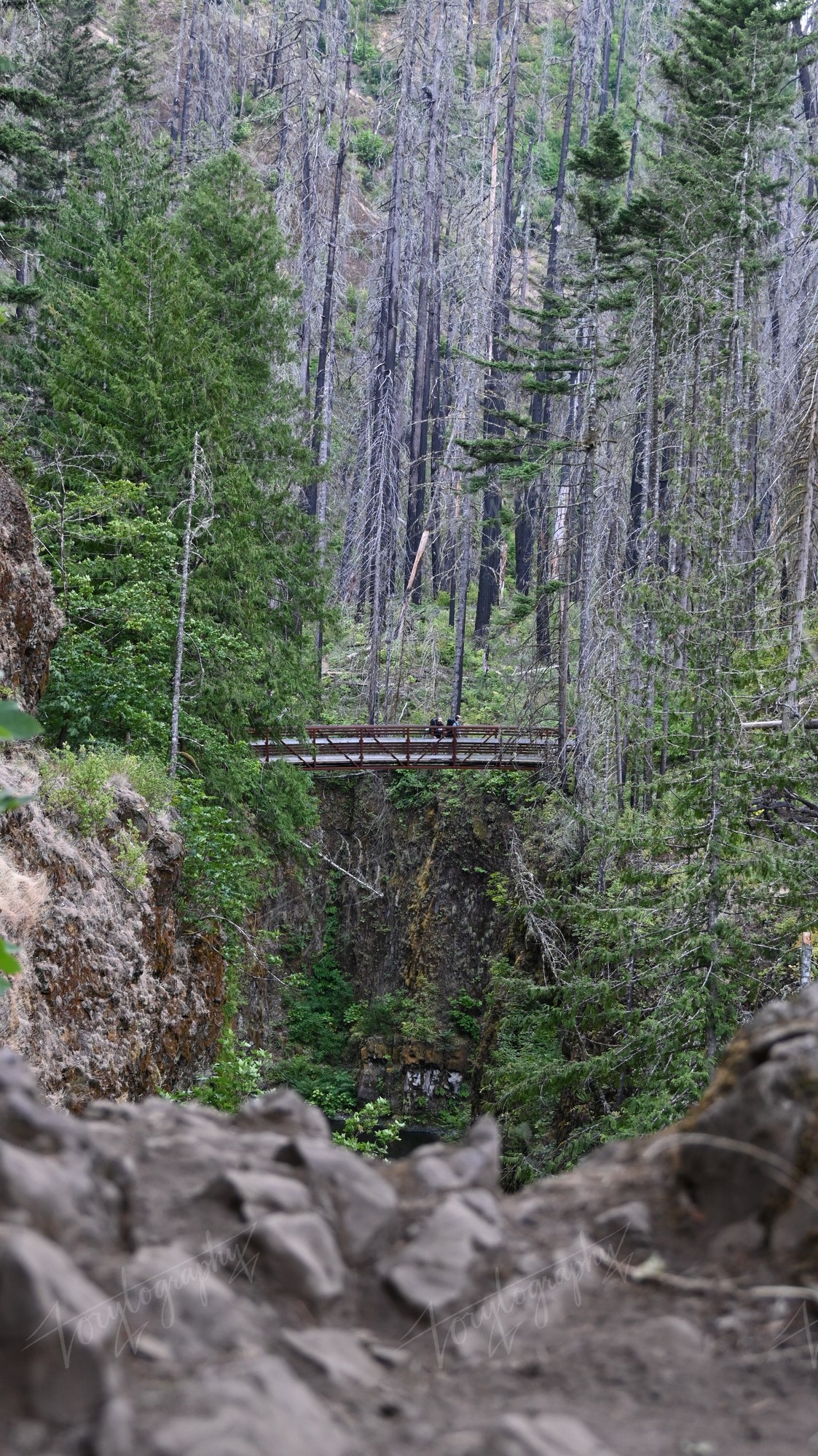 Crossing the Burn · Nature
