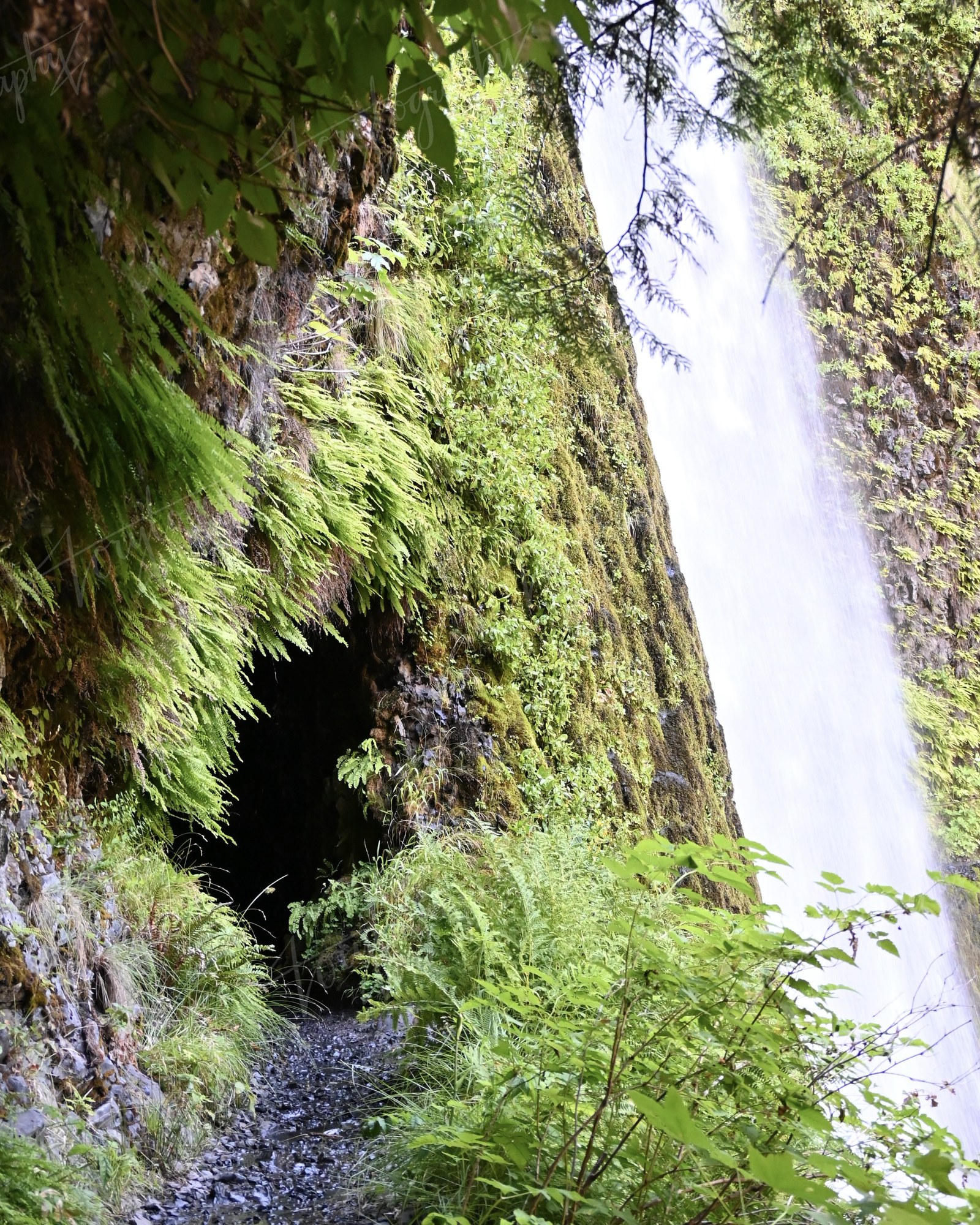 Behind the Falls · Nature