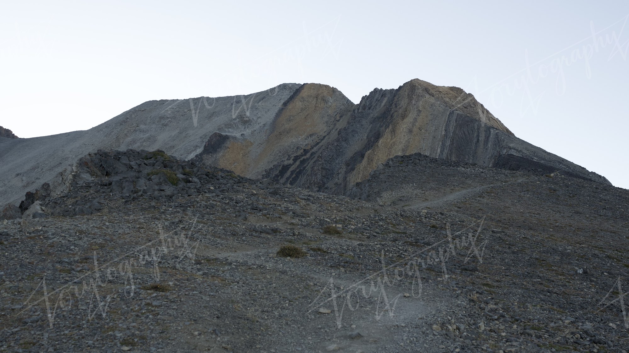 Trail to the Summit · Nature