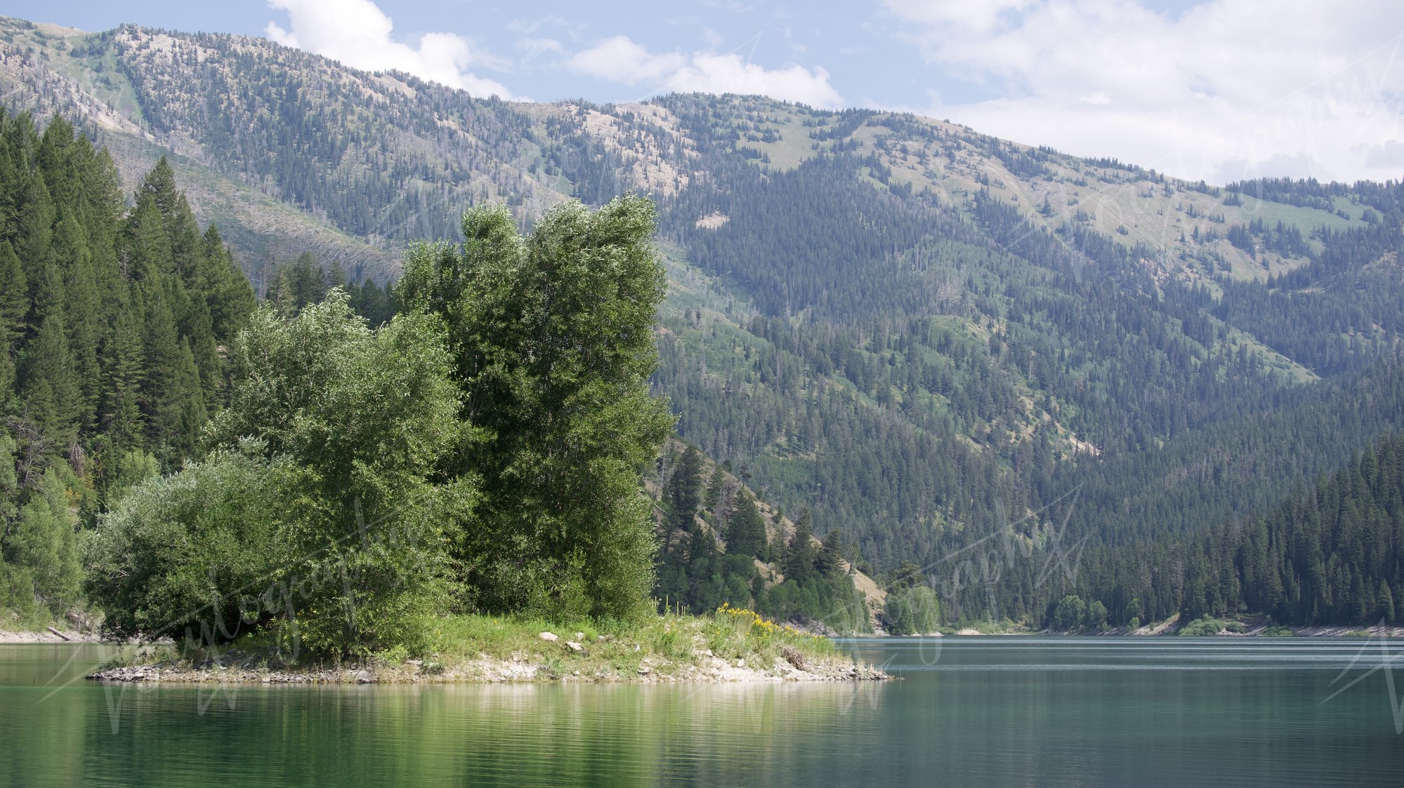 Mountain Lake Inlet · Nature