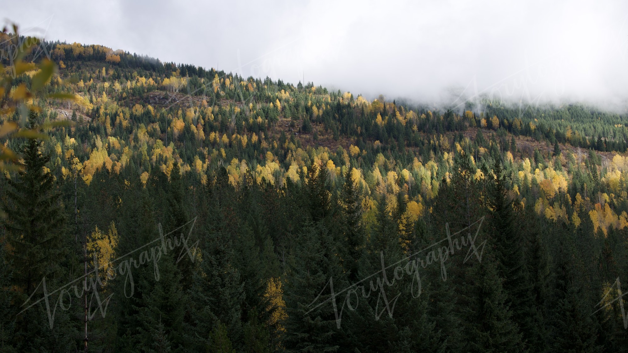 Autumn on the Ridge · Nature