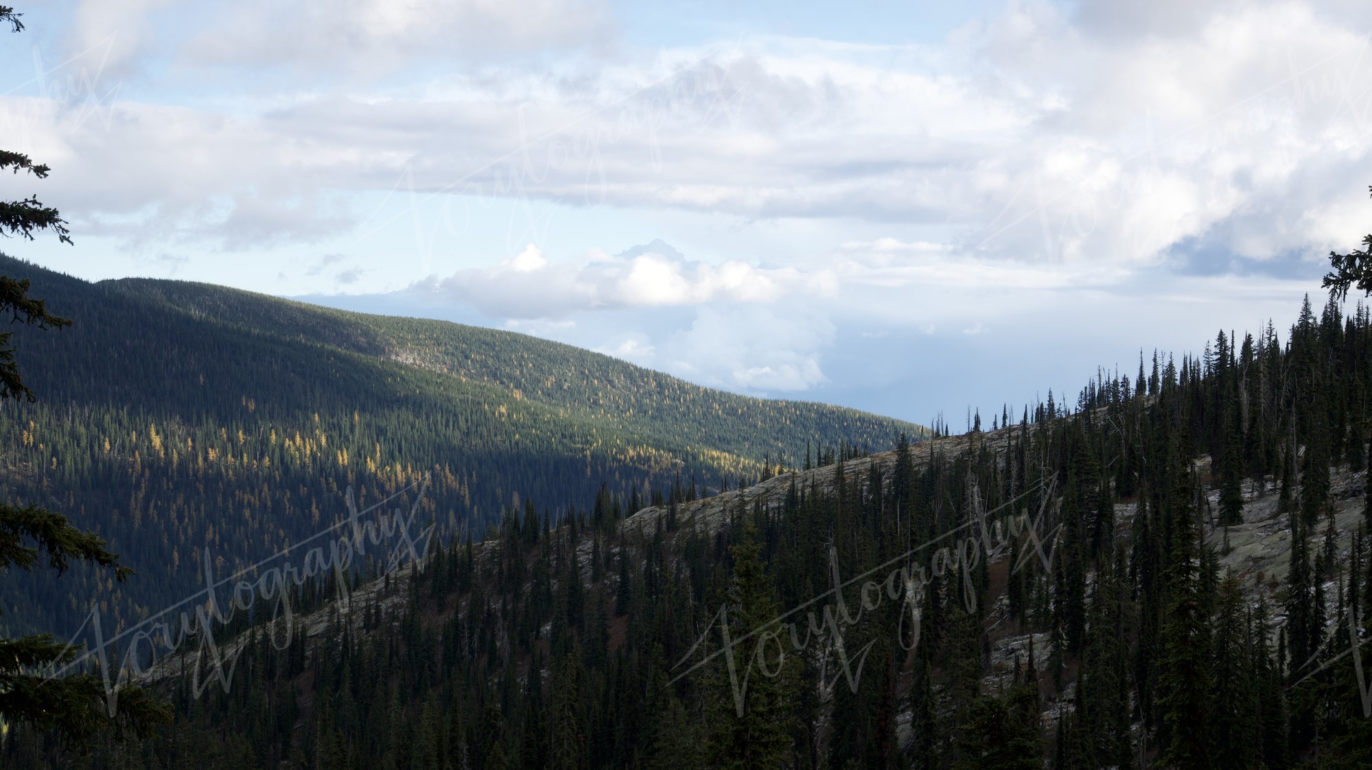 View from the Ridge · Nature